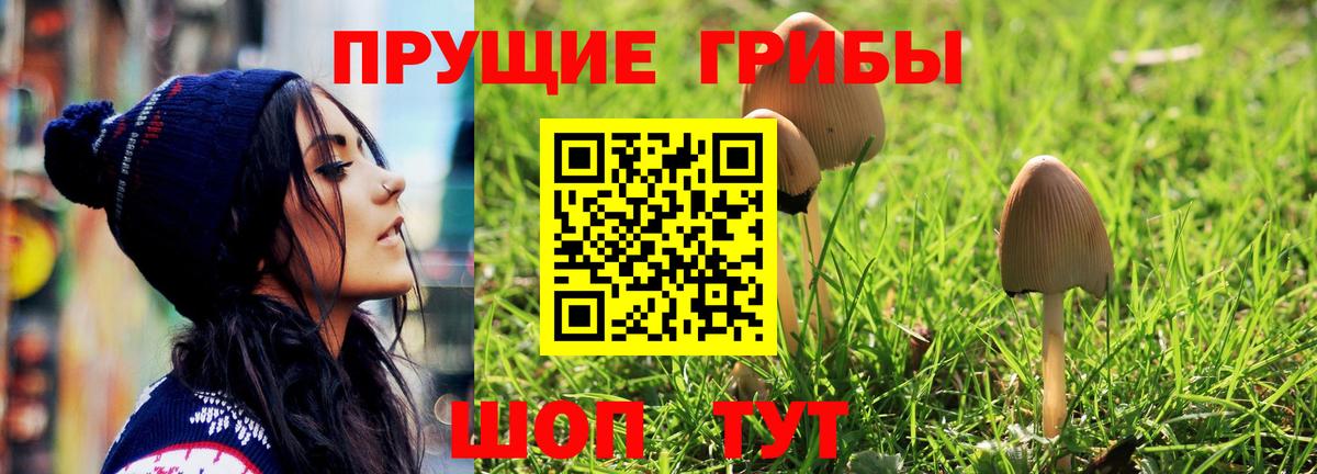 Галлюциногенные грибы прущие грибы  Вход с VPN  Жуковский 